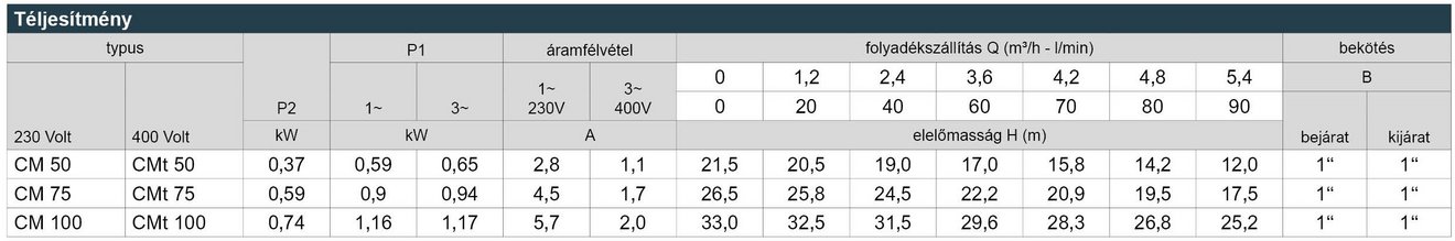 03_CM_Leistungstabelle_Webseite_HU