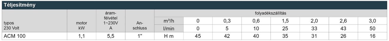 05_ACM_100_Leistungstabelle_Webseite_HU